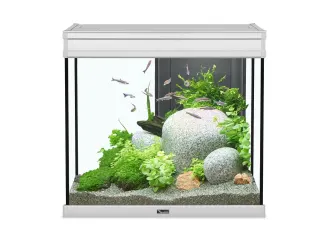 Acquario Elegance Expert en acero inossidabile con 60 LED - L.61 x P.40,4 x H.55 cm