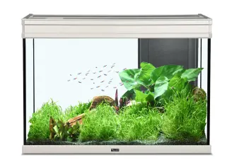 Acquario Elegance Expert 80 LED en acero inox - L.81 x P.40,4 x H.55 cm